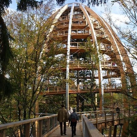 Haus Beate, Fewo Im Bienenparadies Kirchberg  Bagian luar foto