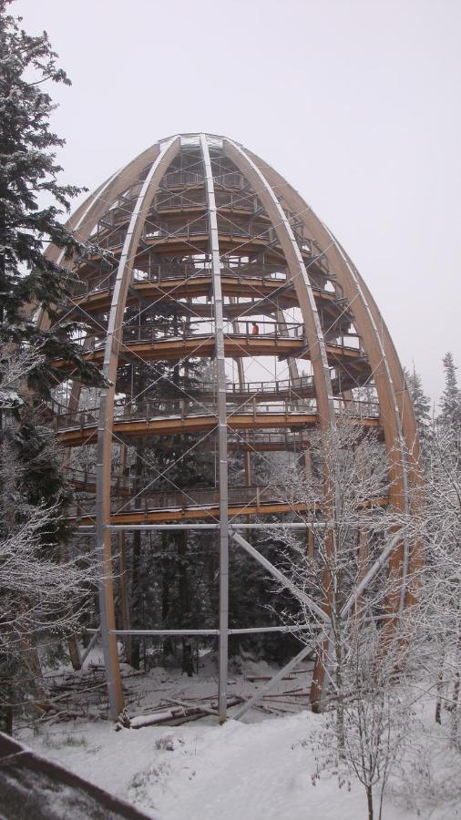 Haus Beate, Fewo Im Bienenparadies Kirchberg  Bagian luar foto